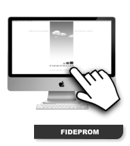 FIDEPROM